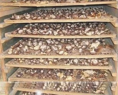 香菇烘干機,熱泵熱水器,節能熱水器,