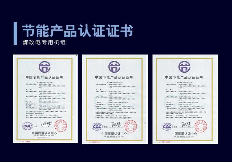 聚陽王牌煤改電